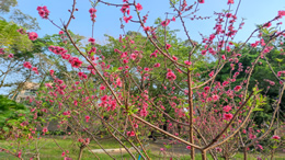 今年第9号台风“美莎克”即将生成